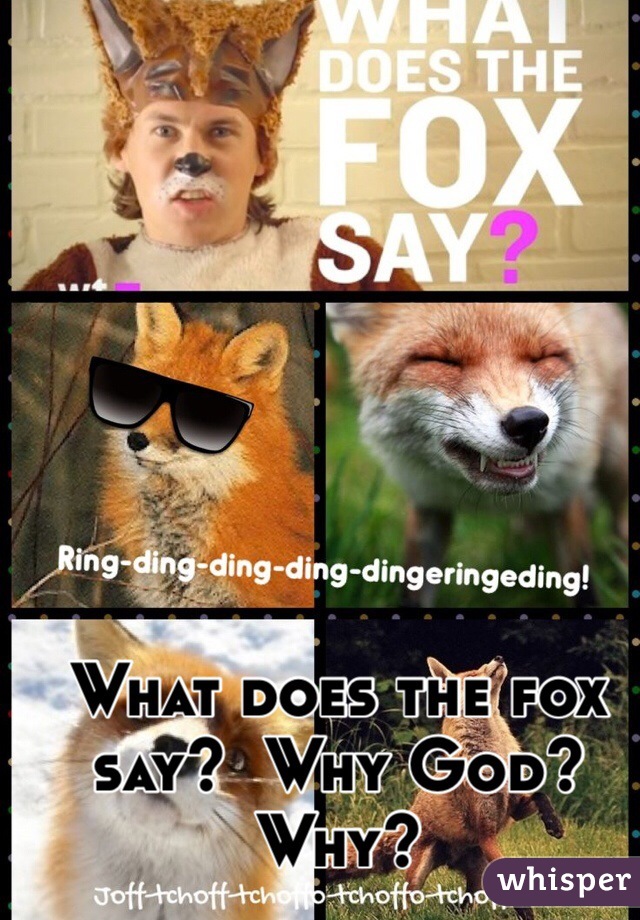 What does the fox say?  Why God? Why? 