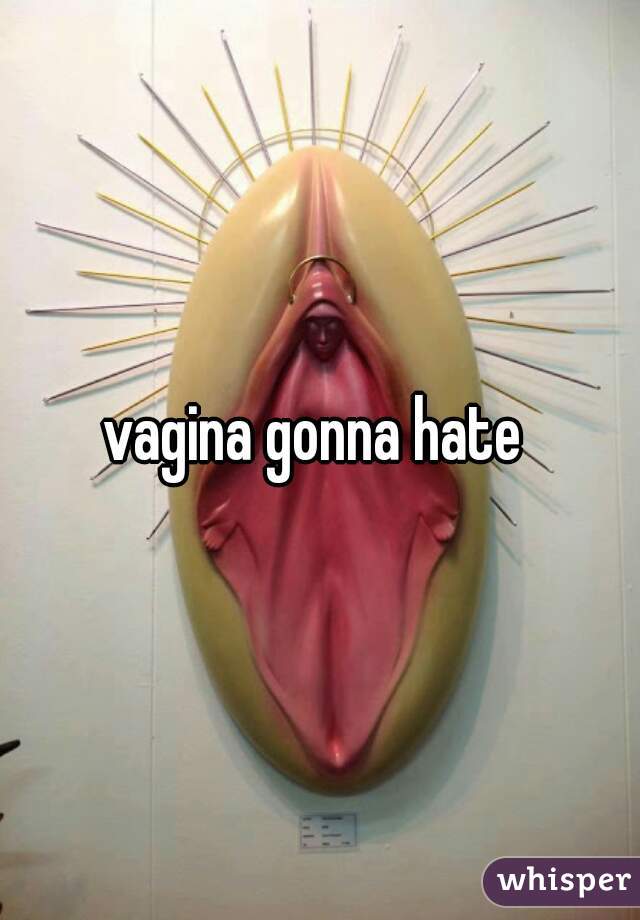 vagina gonna hate 
