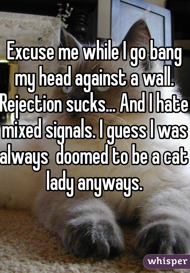 Excuse me while I go bang my head against a wall. Rejection sucks... And I hate mixed signals. I guess I was always  doomed to be a cat lady anyways.
