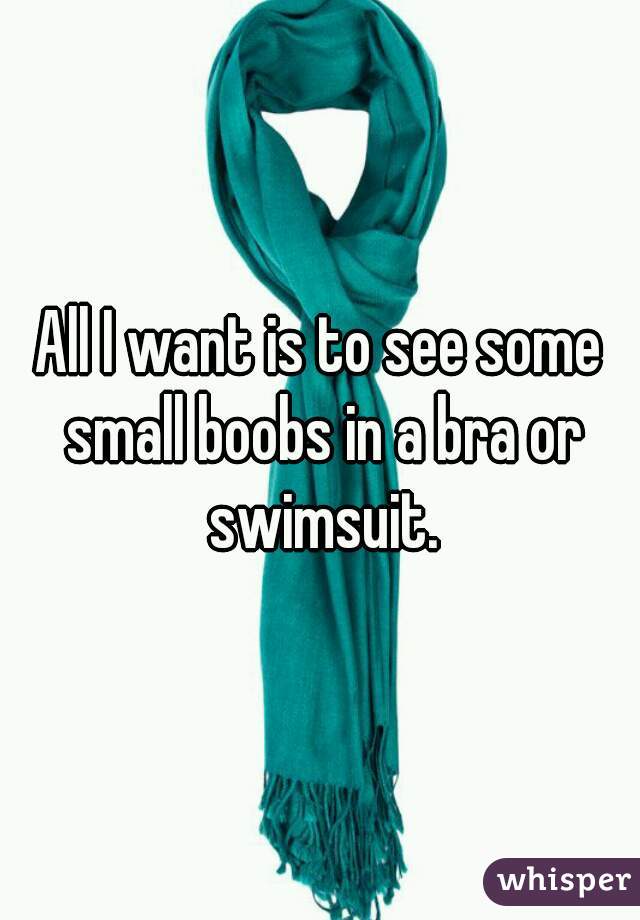 All I want is to see some small boobs in a bra or swimsuit.