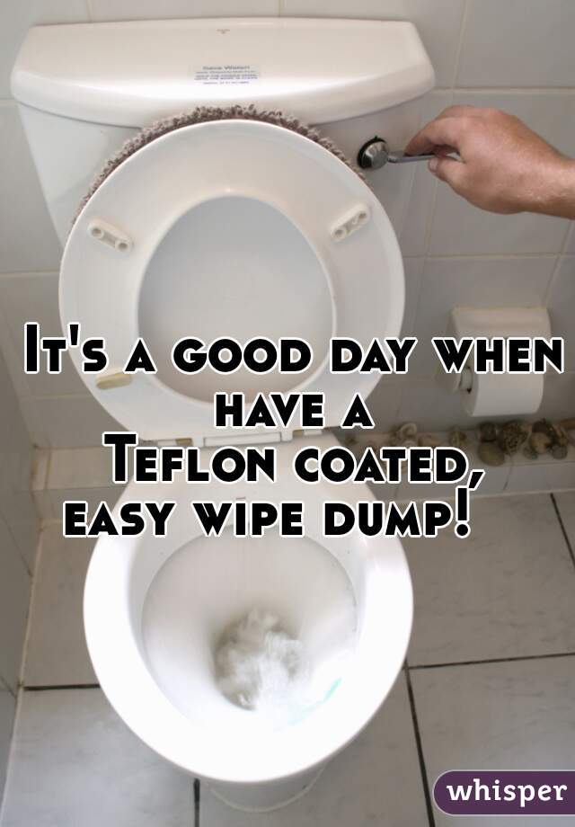 It's a good day when have a 
Teflon coated, 
easy wipe dump!   