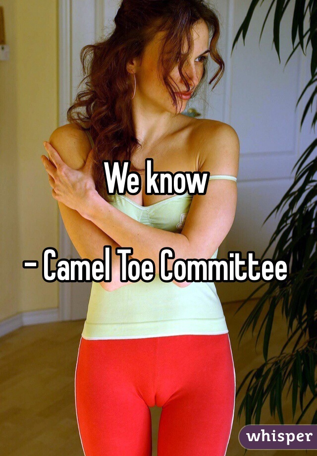 We know

- Camel Toe Committee