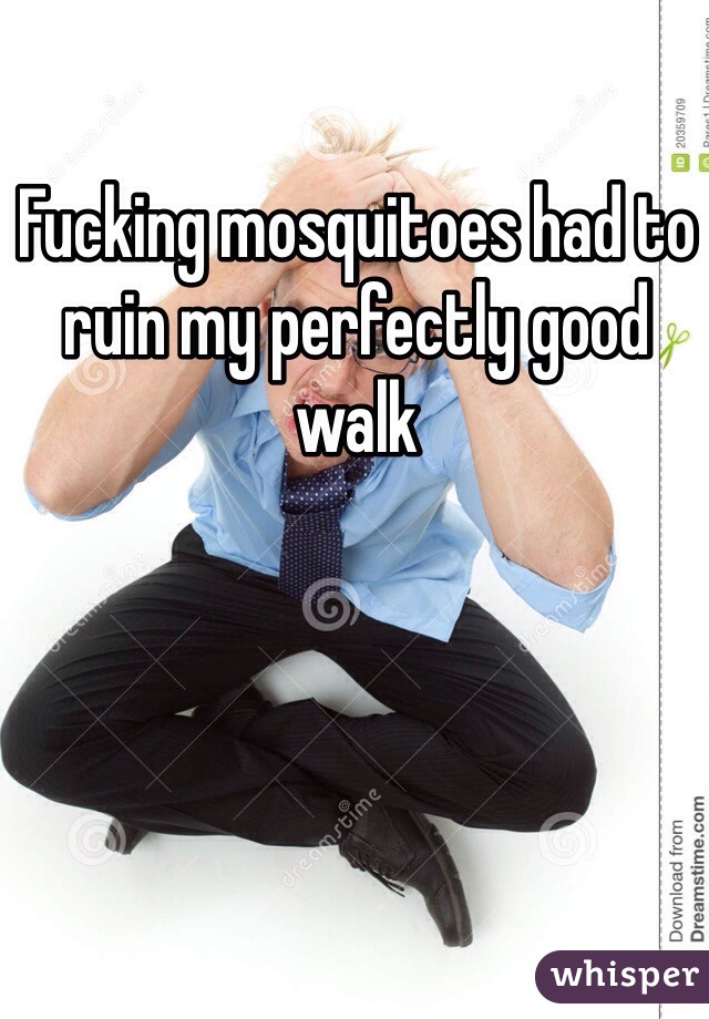 Fucking mosquitoes had to ruin my perfectly good walk
