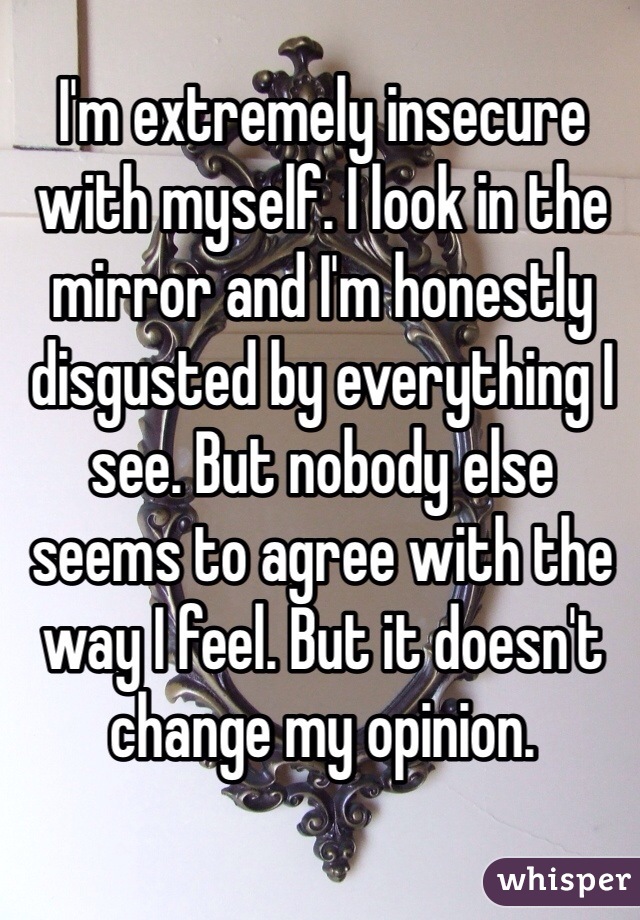 I'm extremely insecure with myself. I look in the mirror and I'm honestly disgusted by everything I see. But nobody else seems to agree with the way I feel. But it doesn't change my opinion.