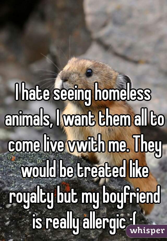 I hate seeing homeless animals, I want them all to come live vwith me. They would be treated like royalty but my boyfriend is really allergic :(