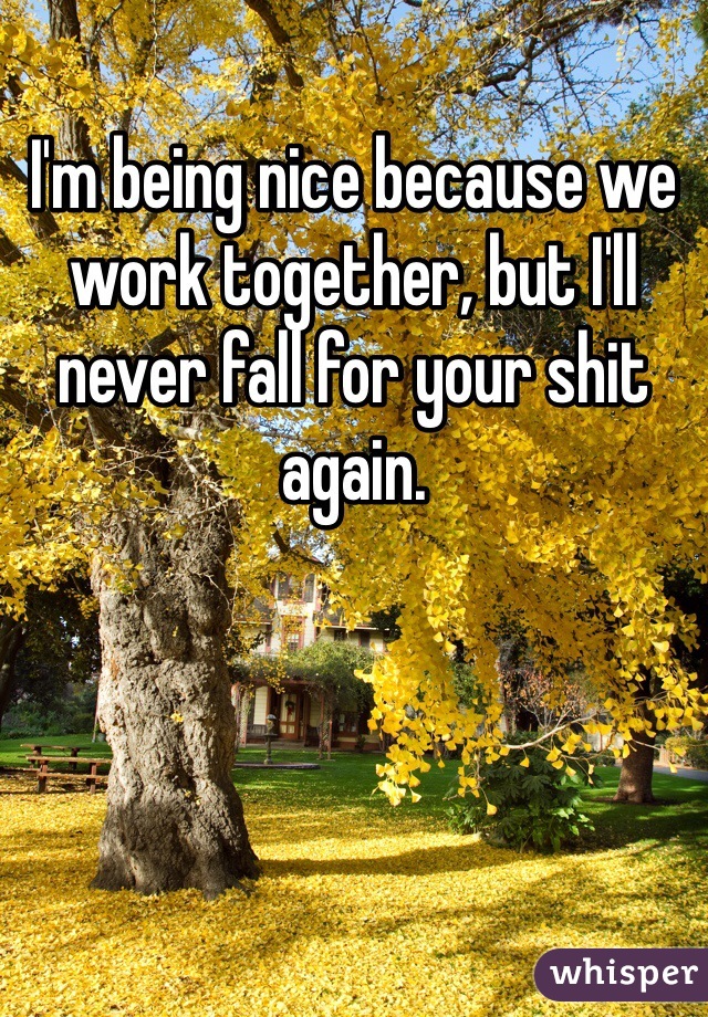 I'm being nice because we work together, but I'll never fall for your shit again.
