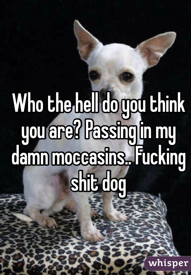 Who the hell do you think you are? Passing in my damn moccasins.. Fucking shit dog