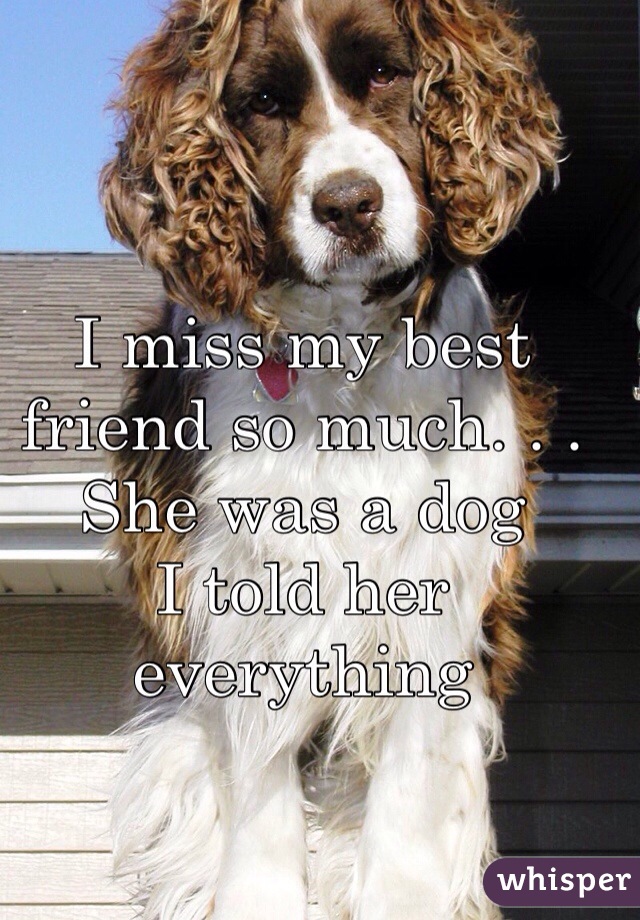 I miss my best friend so much. . . 
She was a dog
I told her everything 