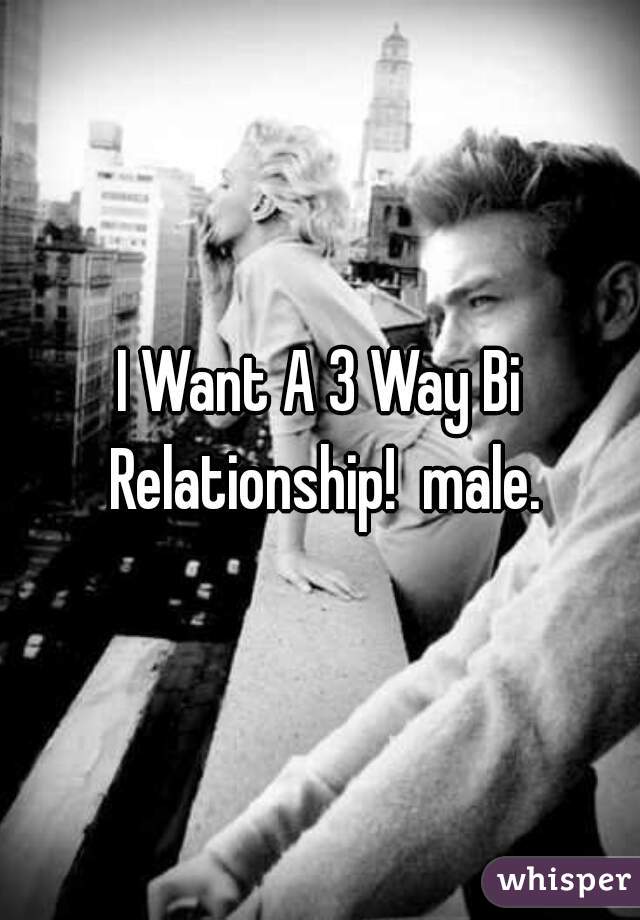 I Want A 3 Way Bi Relationship!  male.