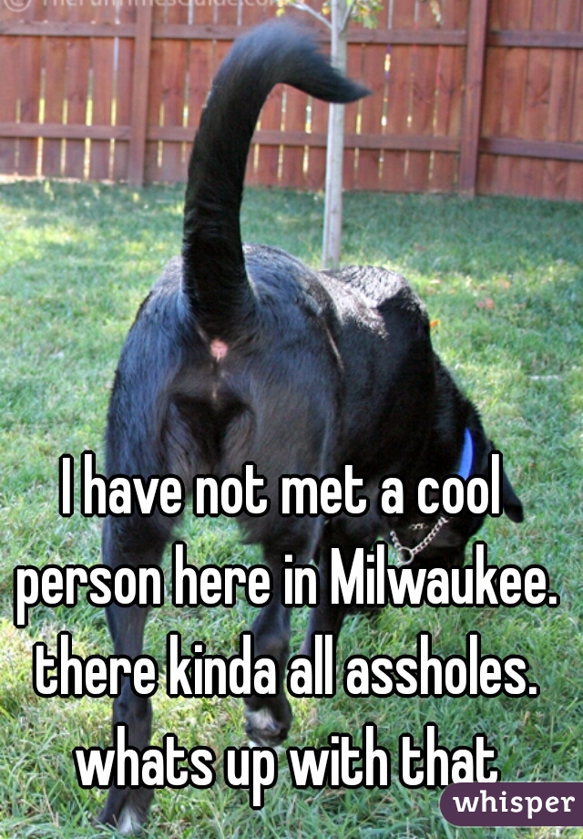I have not met a cool person here in Milwaukee. there kinda all assholes. whats up with that