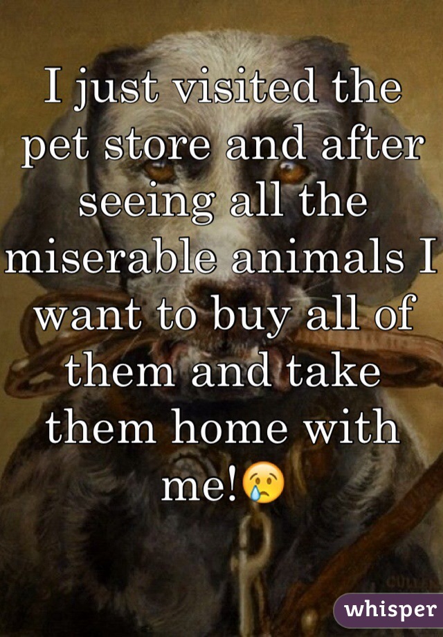 I just visited the pet store and after seeing all the miserable animals I want to buy all of them and take them home with me!😢