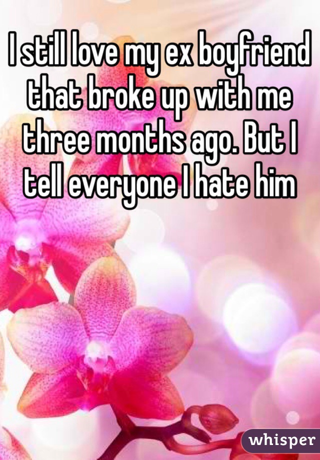 I still love my ex boyfriend that broke up with me three months ago. But I tell everyone I hate him 