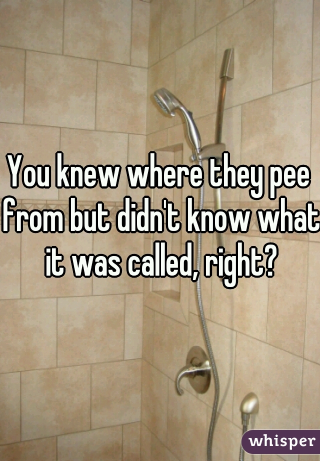 You knew where they pee from but didn't know what it was called, right?