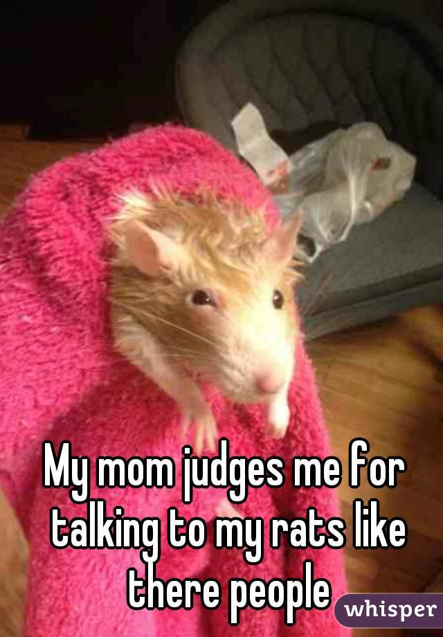 My mom judges me for talking to my rats like there people