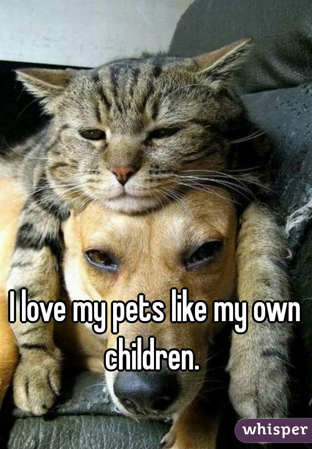 I love my pets like my own children.  

