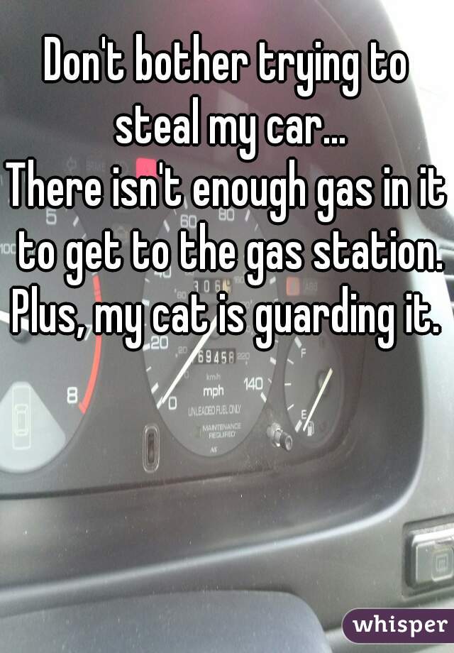 Don't bother trying to steal my car...
There isn't enough gas in it to get to the gas station.
Plus, my cat is guarding it.