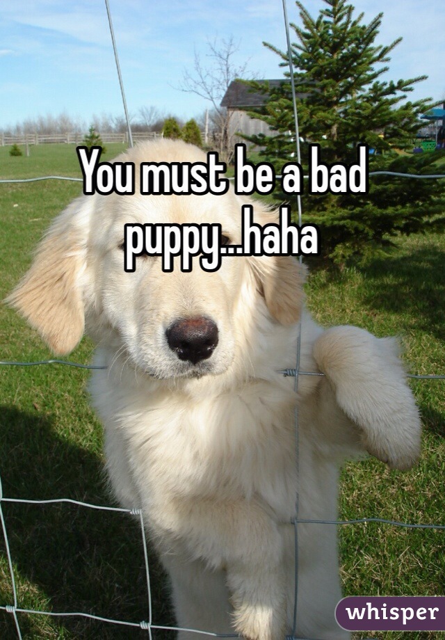 You must be a bad puppy...haha