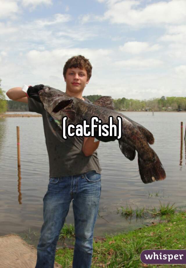 (catfish)
