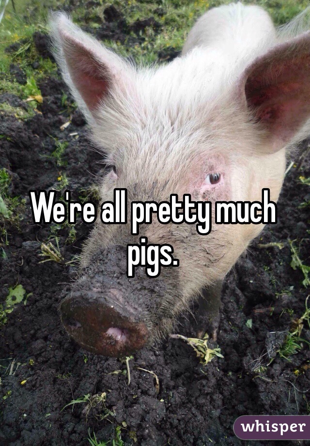 We're all pretty much pigs. 