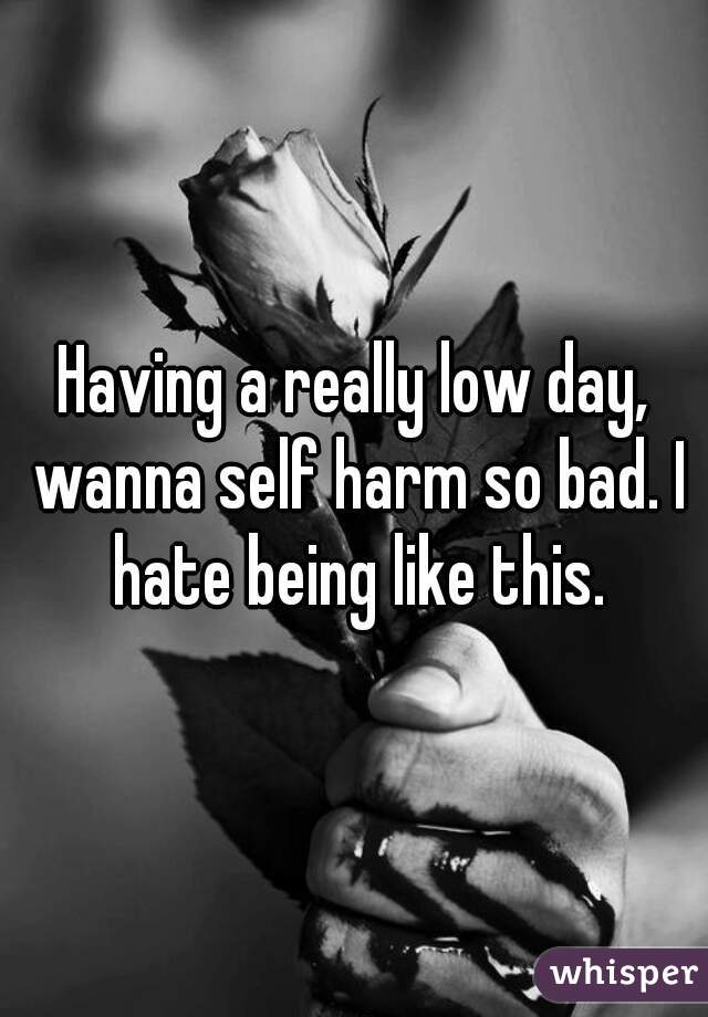 Having a really low day, wanna self harm so bad. I hate being like this.
