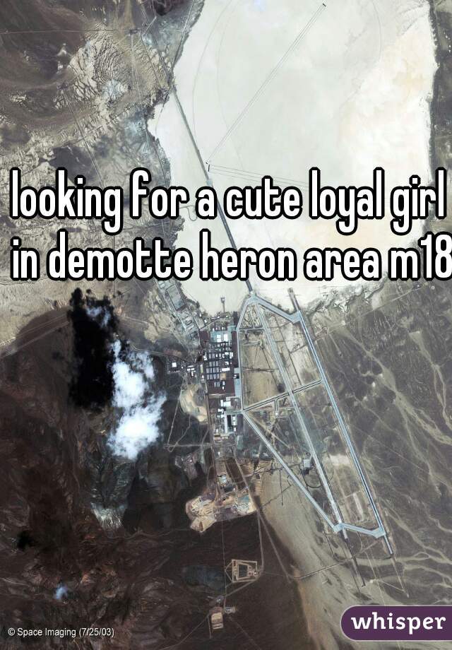 looking for a cute loyal girl in demotte heron area m18