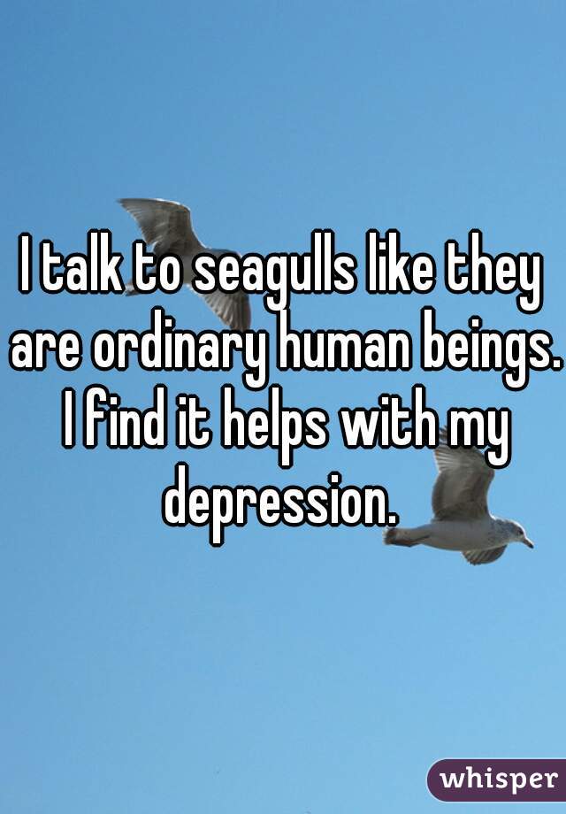 I talk to seagulls like they are ordinary human beings. I find it helps with my depression. 