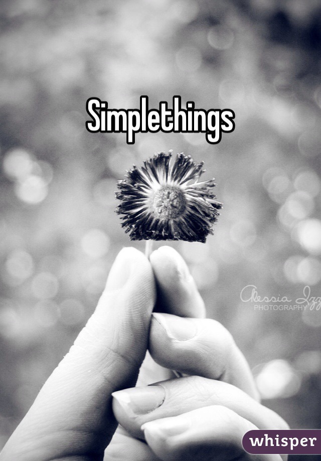 Simplethings