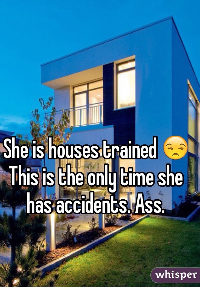 She is houses trained 😒
This is the only time she has accidents. Ass. 
