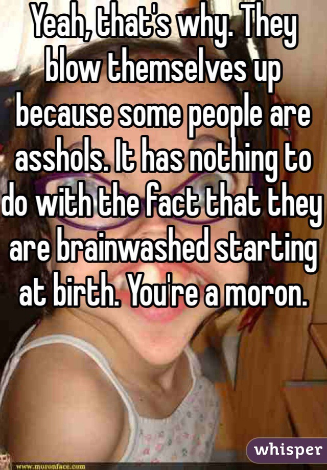 Yeah, that's why. They blow themselves up because some people are asshols. It has nothing to do with the fact that they are brainwashed starting at birth. You're a moron. 