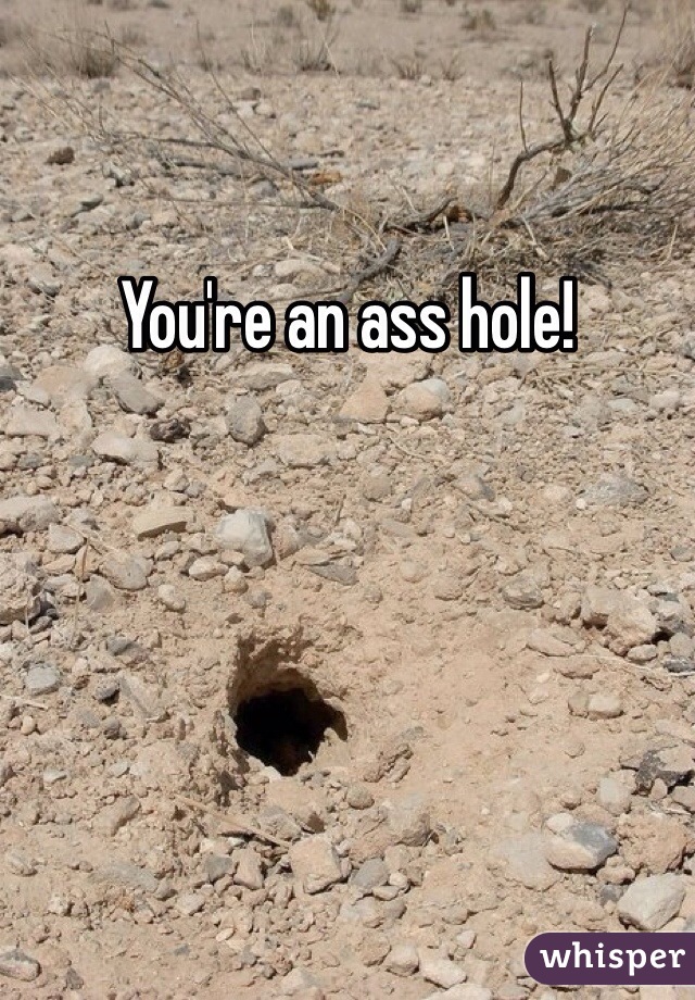 You're an ass hole! 
