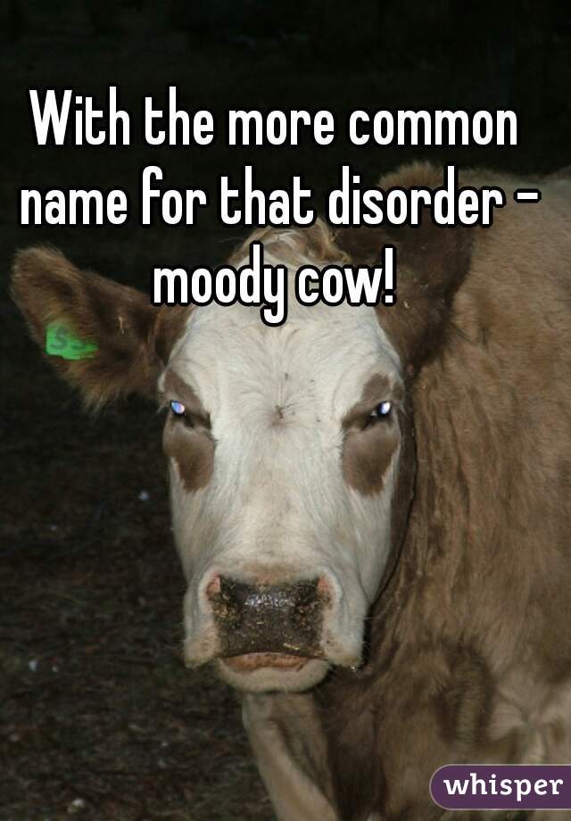 With the more common name for that disorder - moody cow! 