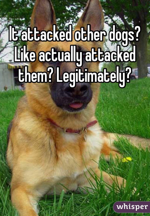 It attacked other dogs? Like actually attacked them? Legitimately? 