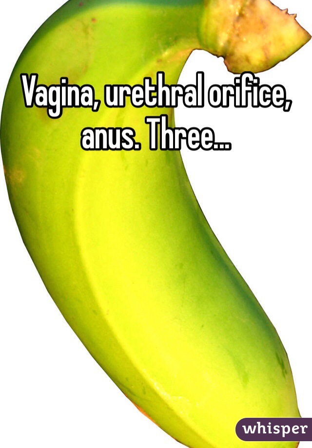 Vagina, urethral orifice, anus. Three...