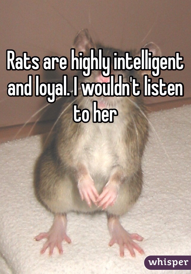 Rats are highly intelligent and loyal. I wouldn't listen to her