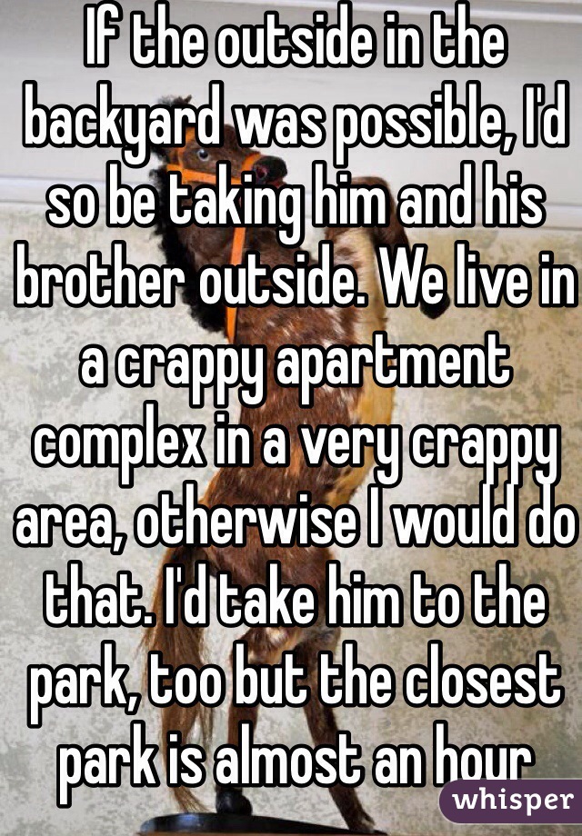If the outside in the backyard was possible, I'd so be taking him and his brother outside. We live in a crappy apartment complex in a very crappy area, otherwise I would do that. I'd take him to the park, too but the closest park is almost an hour away from us. 