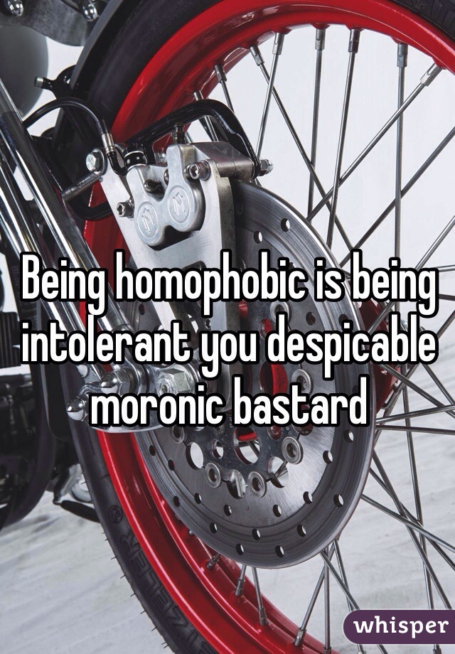 Being homophobic is being intolerant you despicable moronic bastard