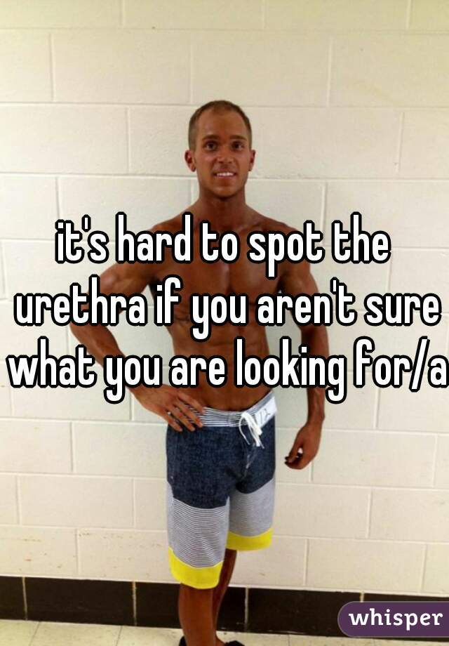 it's hard to spot the urethra if you aren't sure what you are looking for/at