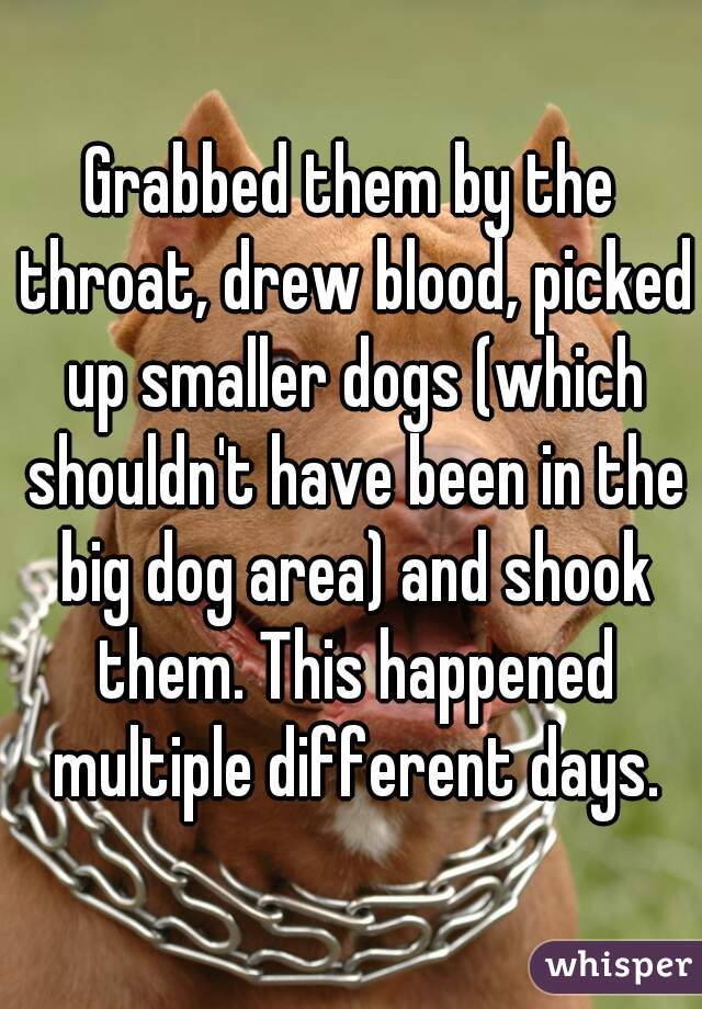 Grabbed them by the throat, drew blood, picked up smaller dogs (which shouldn't have been in the big dog area) and shook them. This happened multiple different days.