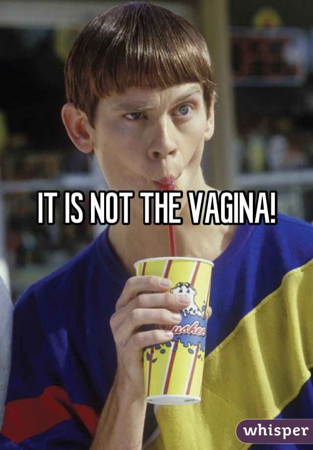 IT IS NOT THE VAGINA!