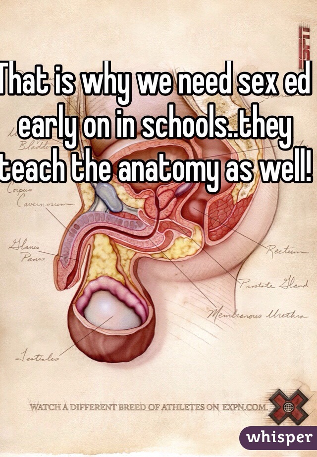 That is why we need sex ed early on in schools..they teach the anatomy as well! 