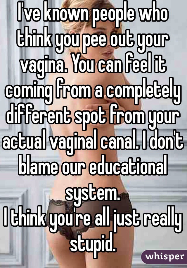 I've known people who think you pee out your vagina. You can feel it coming from a completely different spot from your actual vaginal canal. I don't blame our educational system.
I think you're all just really stupid.