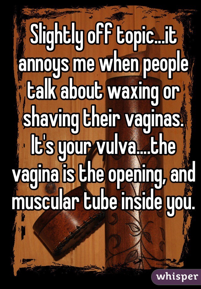 Slightly off topic...it annoys me when people talk about waxing or shaving their vaginas. 
It's your vulva....the vagina is the opening, and muscular tube inside you. 