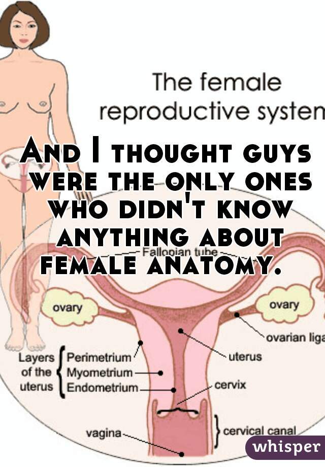 And I thought guys were the only ones who didn't know anything about female anatomy.  