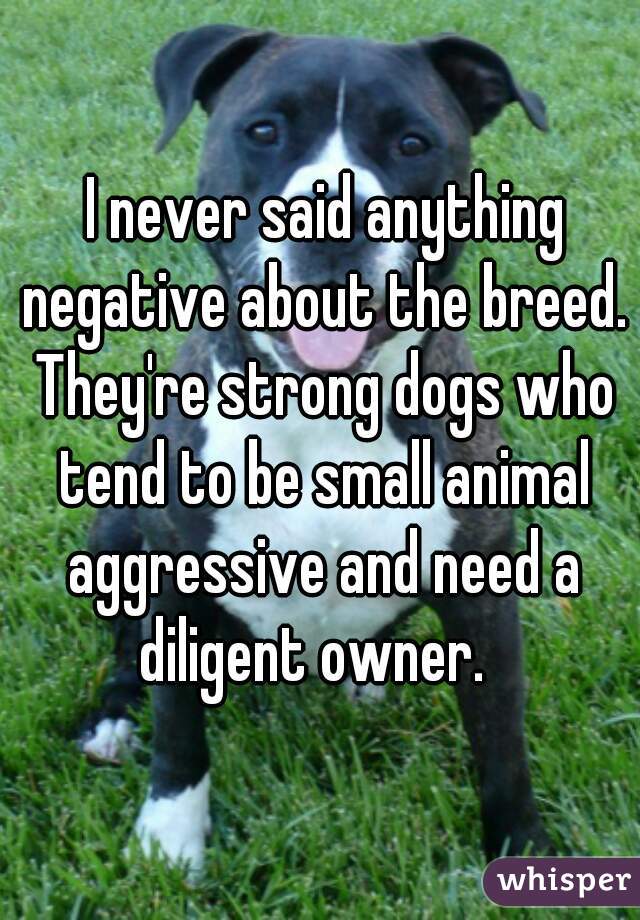  I never said anything negative about the breed. They're strong dogs who tend to be small animal aggressive and need a diligent owner.  