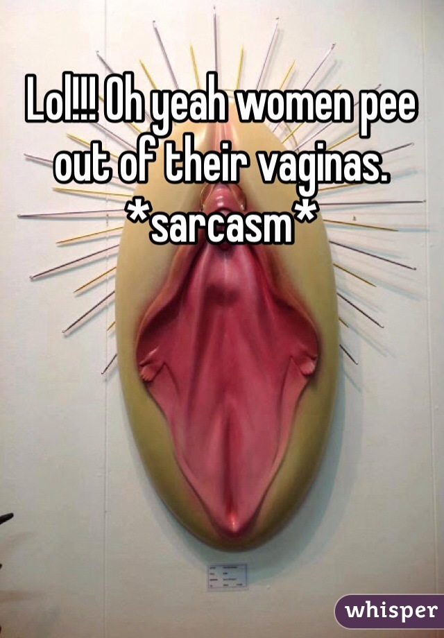 Lol!!! Oh yeah women pee out of their vaginas. *sarcasm*