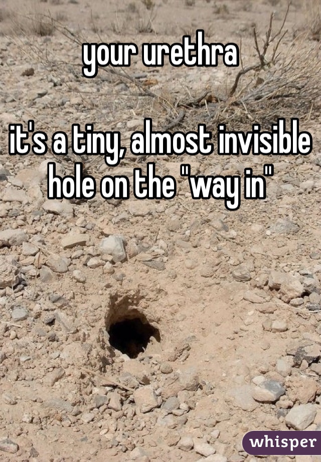 your urethra

it's a tiny, almost invisible hole on the "way in"