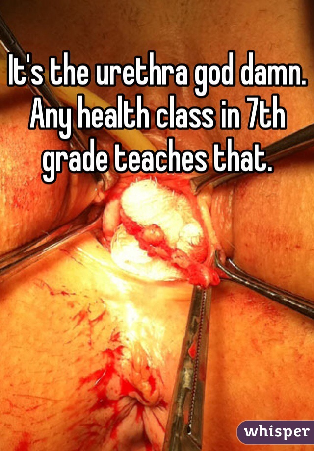 It's the urethra god damn. Any health class in 7th grade teaches that.