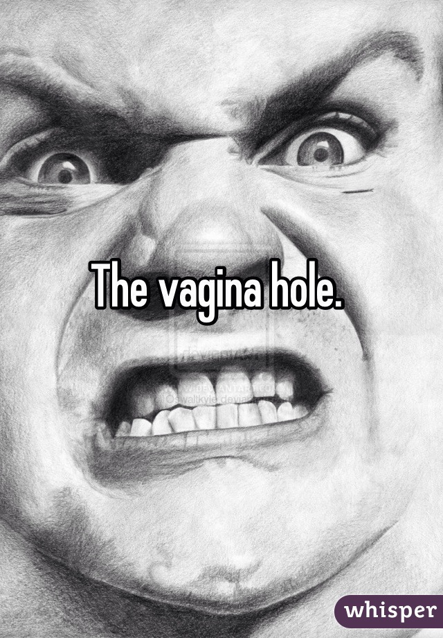 The vagina hole.