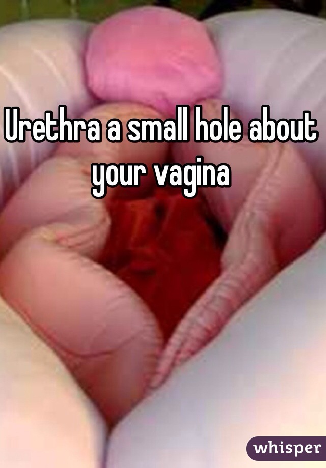 Urethra a small hole about your vagina 