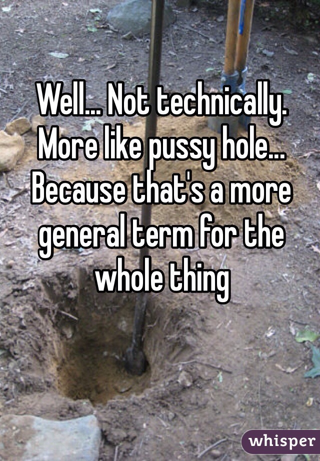 Well... Not technically. More like pussy hole... Because that's a more general term for the whole thing